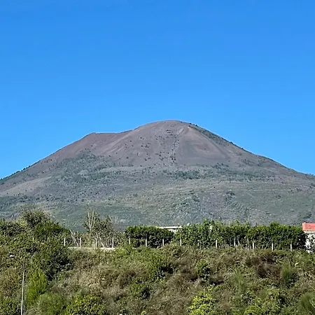 Il Cammeo 2 Guest House, Near Pompeii And Vesuvius トッレ・デル・グレコ